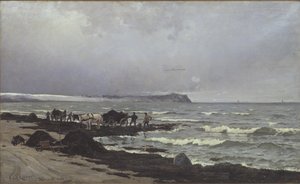يتم تحميل الأعشاب البحرية في Hornbæk Strand بواسطة كارل لوشر