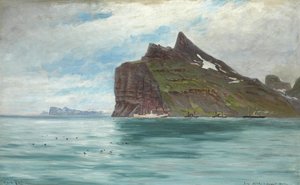 منظر من كيب نورث، أيسلندا، من الرحلة الملكية الدنماركية عام 1907 على متن الباخرة SS Birma