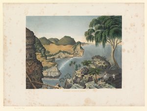 منظر للساحل الجنوبي لجافا الساحل الجنوبي الشرقي رانكوب (العنوان على الكائن) Atlas to work Java (عنوان السلسلة على الكائن) أطلس من اللوحات التي تحتوي على أحد عشر منظرًا خلابًا ، تنتمي إلى عمل جافا ، مظهره ، ونباتاته ، ونباتاته الداخلية بواسطة الملكية الهولندية Steendrukkerij van CW Mieling