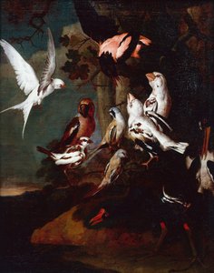 A Moorhen و Swallow و Finches وطيور أخرى في مناظر طبيعية لنهر مشجر (زيت على قماش) بواسطة كارل ويلهلم دي هاميلتون