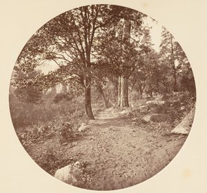في وادي يوسمايت ، كاليفورنيا. 1878. بواسطة كارلتون إيمونز واتكينز
