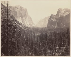 وادي يوسمايت من ماريبوسا تريل ، 1865-1866. بواسطة كارلتون إيمونز واتكينز