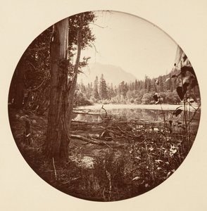 [منتزه يوسمايت الوطني ، كاليفورنيا] ، كاليفورنيا. 1878.