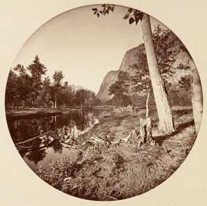 [منتزه يوسمايت الوطني ، كاليفورنيا] ، كاليفورنيا. 1878.