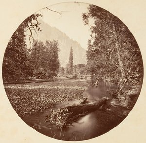 [منتزه يوسمايت الوطني ، كاليفورنيا] ، كاليفورنيا. 1878. بواسطة كارلتون إيمونز واتكينز