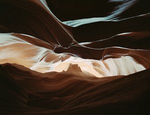 بواسطة كارلي تشوي
