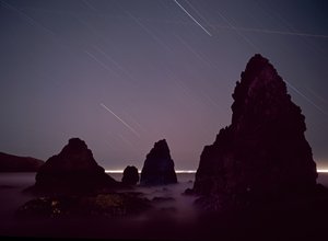  بواسطة كارلي تشوي