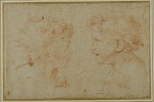 Studies of the head and left hand of a putto (red chalk on paper) بواسطة كارلو ماراتي