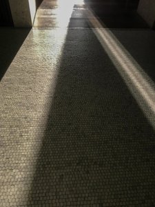 التركيب - الضوء، 2021 (صورة فوتوغرافية) بواسطة سيسيل جاميت