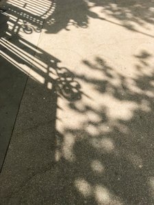 التكوين - الظلال، 2019 (صورة فوتوغرافية) بواسطة سيسيل جاميت
