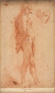 دراسة ذكر عاري دائم ، مع دراسة الرأس في ملف تعريف الربع الثالث ، ج. 1640. بواسطة سيسكو برافو