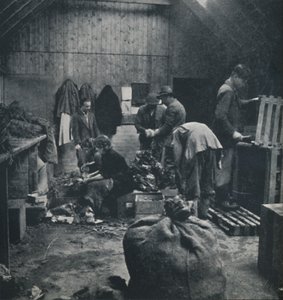 خضروات للسوق ، 1941 بواسطة سيسيل بيتون