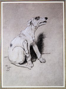 "5:15 من الاستيقاظ من هجوم الأكزيما السيئ" ، رسم توضيحي من A Dog Day بقلم والتر إيمانويل بواسطة سيسيل تشارلز وندسور الدين