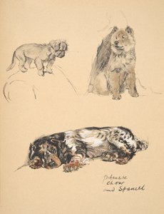Pekinese ، Chow and Spaniel ، 1930 ، رسوم توضيحية من كتابه التخطيطي المستخدم فقط بين الأصدقاء ، Aldin ، Cecil Charles Windsor (1870-1935) ، تم نشره لاحقًا بواسطة Eyre and Spottiswoode Limited ، 1934 ، Chal بواسطة سيسيل تشارلز وندسور الدين