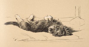 Rough Daschund Puppy Detail ، 1930 ، رسوم توضيحية من كتابه التخطيطي المستخدم فقط بين الأصدقاء ، Aldin ، Cecil Charles Windsor (1870-1935) ، تم نشره لاحقًا بواسطة Eyre and Spottiswoode Limited ، 1934 ، Cha بواسطة سيسيل تشارلز وندسور الدين