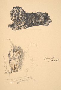 Spaniel and Chow ، 1930 ، رسوم توضيحية من كتابه التخطيطي المستخدم فقط بين الأصدقاء ، Aldin ، Cecil Charles Windsor (1870-1935) ، تم نشره لاحقًا بواسطة Eyre and Spottiswoode Limited ، 1934 ، Chalk and Char بواسطة سيسيل تشارلز وندسور الدين
