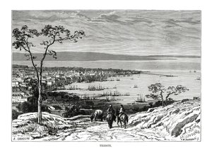 ترييستي ، إيطاليا ، 1879 بواسطة تشارلز باربانت