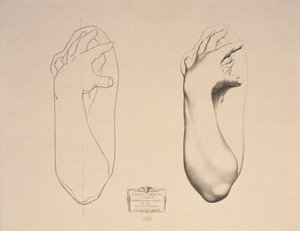Bent Arm of a Woman ، اللوحة 22 من Cours de Dessin Volume I ، Models dapres la bosse ، c.1868 بواسطة تشارلز بارج