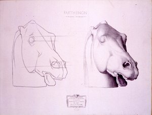 رأس الحصان من West Pediment of Parthenon ، اللوحة 47 من Cours de Dessin ، c.1898 بواسطة تشارلز بارج