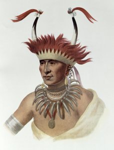 Chon-Mon-I-Case أو "L&39;Ietan" ، نصف أوتو ، 1821 ، رسم توضيحي من "القبائل الهندية لأمريكا الشمالية ، المجلد الأول" ، بقلم توماس ل. مكيني وجيمس هول ، الحانة. جون جرانت