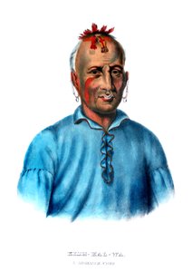 Kishkalwa ، رئيس Shawnee بواسطة تشارلز بيرد كينج
