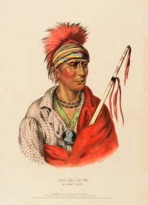 ليس-تشي-مي-ني. An IOWAY CHIEF., من تاريخ القبائل الهندية في أمريكا الشمالية بواسطة تشارلز بيرد كينج