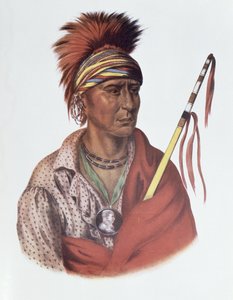 نوتشيمين أو نو هارت ، رئيس ولاية أيوا ، 1837 ، رسم توضيحي من "القبائل الهندية لأمريكا الشمالية ، المجلد 2" ، بقلم توماس ل. مكيني وجيمس هول ، الحانة. جون جرانت