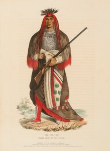 وا-نا-تا. الزعيم الأكبر لقبائل السيوكس، من تاريخ القبائل الهندية في أمريكا الشمالية بواسطة تشارلز بيرد كينج