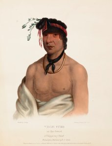 ويش-كوب. A CHIPPEWAY CHIEF., من تاريخ القبائل الهندية في أمريكا الشمالية بواسطة تشارلز بيرد كينج