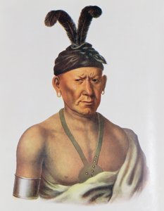 Wakechai أو "Crouching Eagle" ، رئيس Sauk ، توضيح من "القبائل الهندية لأمريكا الشمالية ، المجلد 2" ، بقلم توماس ل. مكيني وجيمس هول ، الحانة. جون جرانت
