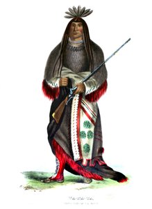 Wanata ("الشاحن") ، كبير زعماء Sioux بواسطة تشارلز بيرد كينج