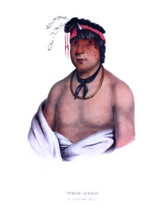 Weshcubb ("The Sweet") ، رئيس Chippeway بواسطة تشارلز بيرد كينج