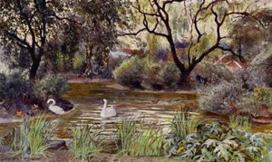 حديقة حيوان لندن: Three Island Pond (color litho)