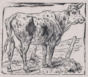 بقرة ، كاليفورنيا. 1853. بواسطة تشارلز إميل جاك