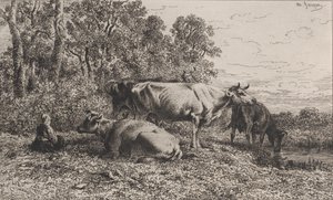 أبقار هولندية ، 1864. بواسطة تشارلز إميل جاك
