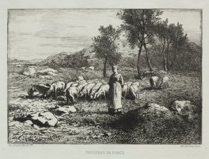 قطيع من الخنازير ، 1868. بواسطة تشارلز إميل جاك