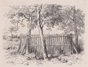 حديقة المدرسة ، من ماغاسين بيتوريسك ، كاليفورنيا. 1852.