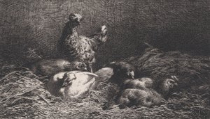 دجاج ، 1867.