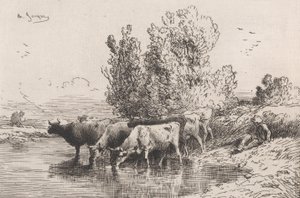الحوض الصغير 1864.