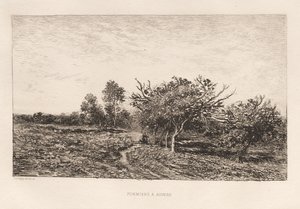 أشجار التفاح في Auvers Pommiers in Auvers ، 1877. بواسطة تشارلز فرانسوا داوبيني