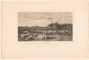 منظر طبيعي بقطيع من الأغنام Parc à moutons ، le matin (العنوان على الكائن) بواسطة تشارلز فرانسوا داوبيني