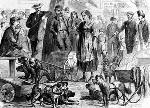 القبض على جامعي خرقة في سيتي هول بارك ، نيويورك ، من حانة هاربرز ويكلي. 1867 بواسطة تشارلز جرين