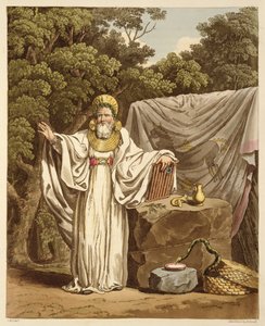 قوس درويد في العادة القضائية ، نقشها روبرت هافيل (1769-1832) 1815 (أكواتينت) بواسطة تشارلز هاميلتون سميث