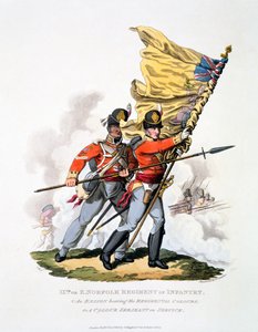 Uniform und Colors of the 9th or East Norfolk فوج المشاة ، من "زي الإمبراطورية البريطانية ، وفقًا للوائح الأخيرة" ، تم نشره عام 1813 (ألوان مائية يدوية) بواسطة تشارلز هاميلتون سميث