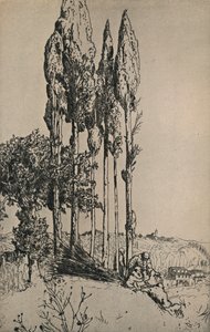 أشجار السرو بالقرب من سيينا ، 1903 بواسطة تشارلز هولرويد