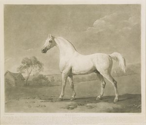 مامبرينو بعد جورج ستابس 1788 (الميزوتنت)