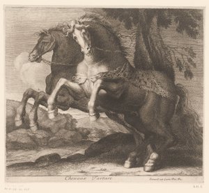 الخيول الجامحة Chevaux Tartare (العنوان على الكائن) سلسلة الحيوانات (عنوان المسلسل)