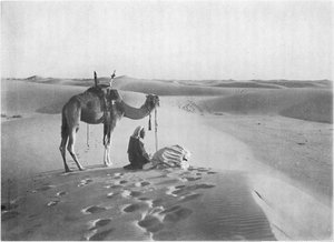 صلاة المغرب في الصحراء عام 1913