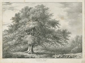 Lichfield - ["Dr. Johnson" s "] شجرة الصفصاف: الطباعة الحجرية ، بدون تاريخ [1789-1850]