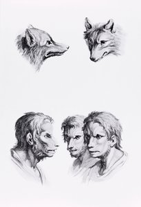 أوجه التشابه بين رأس ذئب ورجل ، من "كتاب بورتريه لأولئك الذين يبدأون في الرسم" بقلم لو برون بواسطة تشارلز لو برون